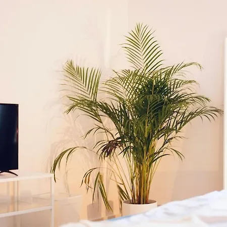 Appartement Nordic Living Im Zentrum Wismars Wißmar