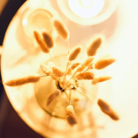 Nordic Living Im Zentrum Wismars Lejlighed Wißmar